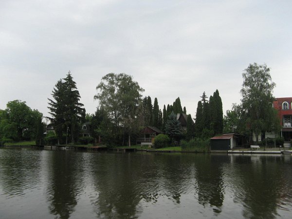 Szarvas 030